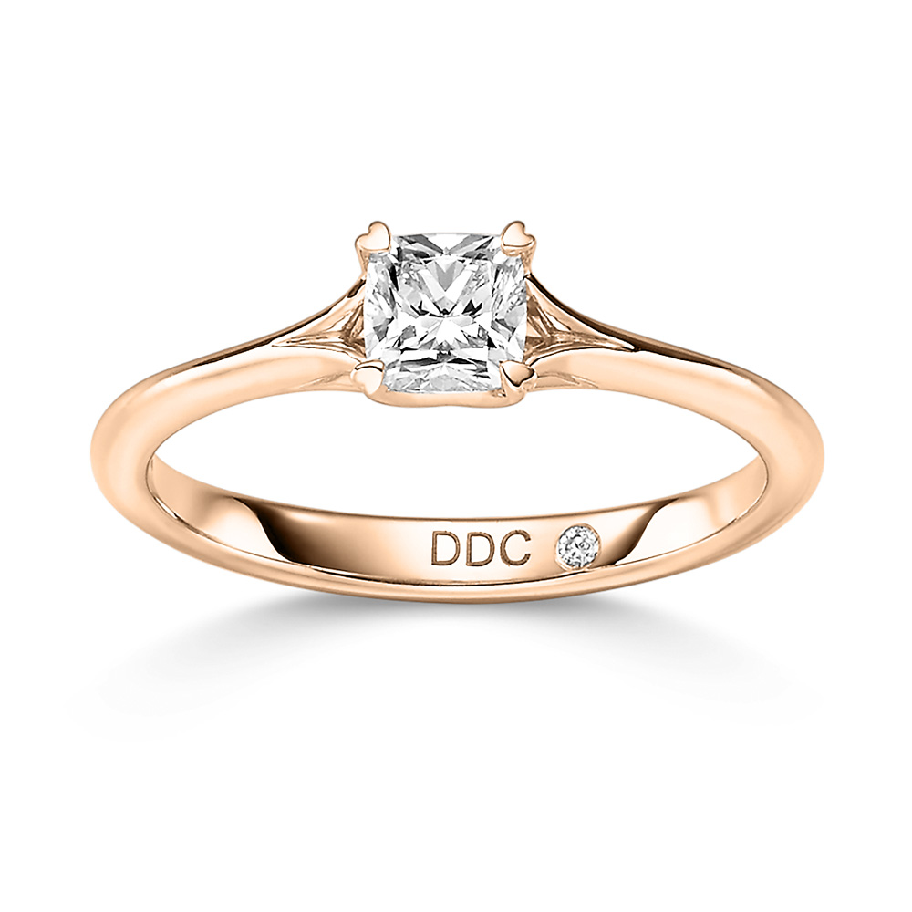 Ring des Jahres I DDC I 750 I